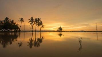puesta de sol de oro de lapso de tiempo sobre el árbol de coco video
