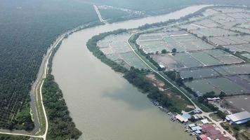 Open-Water-Fischfarm in Sungai Udang, Penang, Malaysia. video