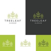 Tree leaf logo icon design template vector illustration