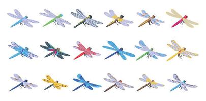 Dragonfly icons set isometric vector. Nature animal vector