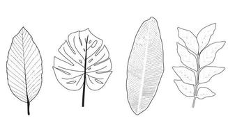 Set of tropical leaves with black outline on white background vector