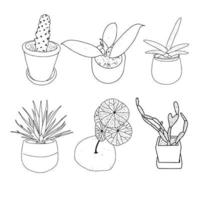 conjunto de plantas caseras, árboles de purificación de aire de moda dibujados a mano ilustración vectorial con monstera de contorno negro, aloe vera, planta de serpiente, sansevieria verde y cactus. decoración elegante de la habitación hipster. aislar vector