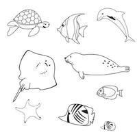 Graphic sea life collection. Vector ocean creatures isolated on white background. Coloring book page design for adults and kids