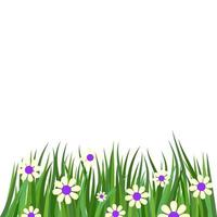 Pretty Daisy Flower Hedge vector