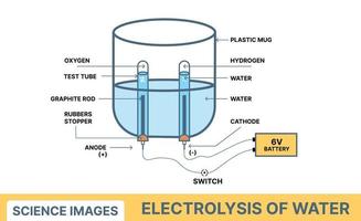 electrólisis del agua vector