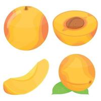 Apricot icons set, isometric style vector