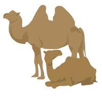 camellos planos sin rostro vector