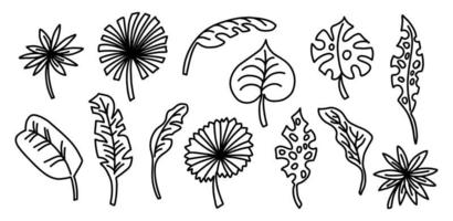 Set with exotic tropical leaves of different shapes in the doodle style vector