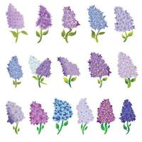 Lilac icons set, cartoon style vector