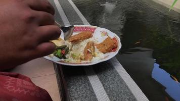 footage of having breakfast next to the fish pond video