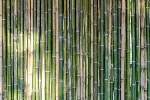 el fondo de bambú y los listones de fondo se colocan en la partición de la pared y en la valla por la mañana con la luz del sol. foto
