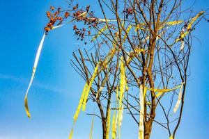 Dry tree with the yellow ribbin on it in the open sky. photo