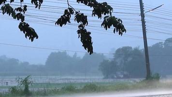 Las fuertes lluvias causadas por la tormenta en la noche, ya que los autos conducían por la carretera, hicieron que el tráfico fuera peligroso, lo que requería precaución en las carreteras rurales de Tailandia.