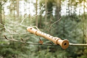 flute on a branch photo