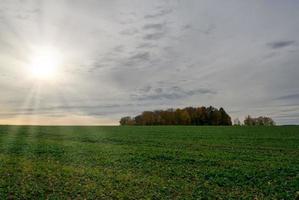 field with sunlight photo