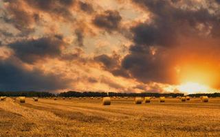 puesta de sol sobre un campo de heno recién cosechado foto