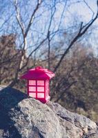 pink lantern on rock photo