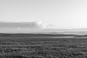 sunset over a forest landscape in black and white photo