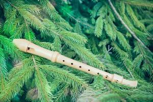 Flute on fir branches photo