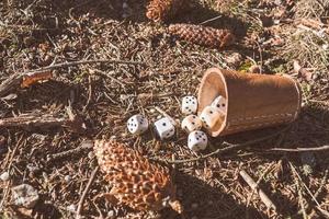 dice beaker in the forest photo