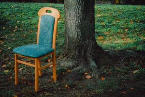 una silla frente a un árbol foto