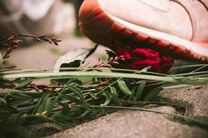 a rose that is trampled with a shoe photo