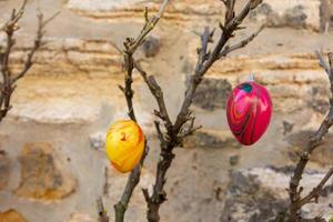 An easter decoration on branches in nature photo