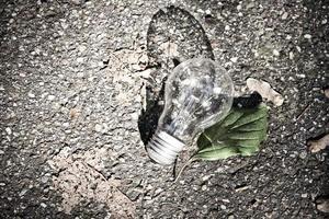 lightbulb with green plant leaf in nature photo