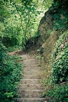 Stone stairs in the wilderness photo