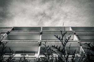 Living building in black and white photo