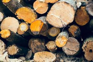 stack of wood photo