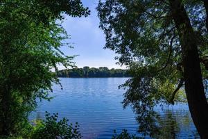 trees in front of a lake in the summer photo