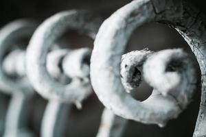 old curving fence II photo