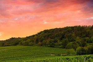 Vivid orange sunset over a lush green landscape photo