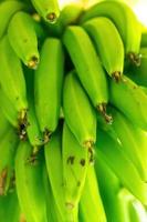 vainas de plátano verde sin madurar foto