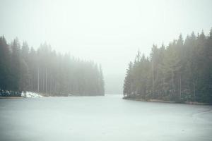 Forest lake in fog photo