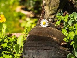 Shoe decoration in the garden photo