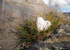 corazón en una roca foto