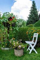 a decorative garden in summer with a chair photo