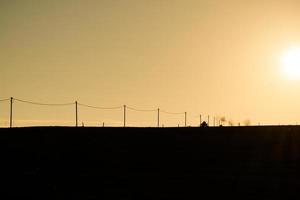 field in the sunset photo