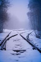 rieles de ferrocarril en la niebla foto