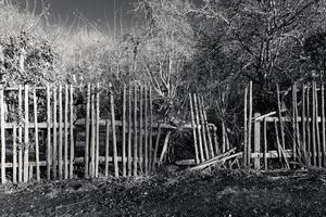 destroyed wood fence photo