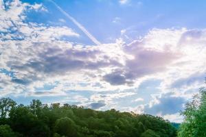 forest landscape with blue sky photo