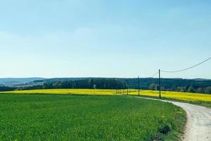 dirt road in summer photo