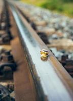 snail on a railway track photo