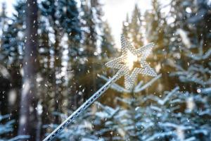 varita mágica en forma de estrella en un bosque de invierno foto