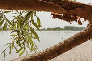 View of water framed by tree branches and leaves photo