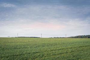 gran campo verde plano con torres de electricidad foto