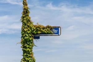 overgrown road sign in germany with the visible word shore photo