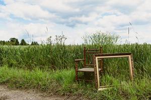 Chair with picture frame in nature IV photo